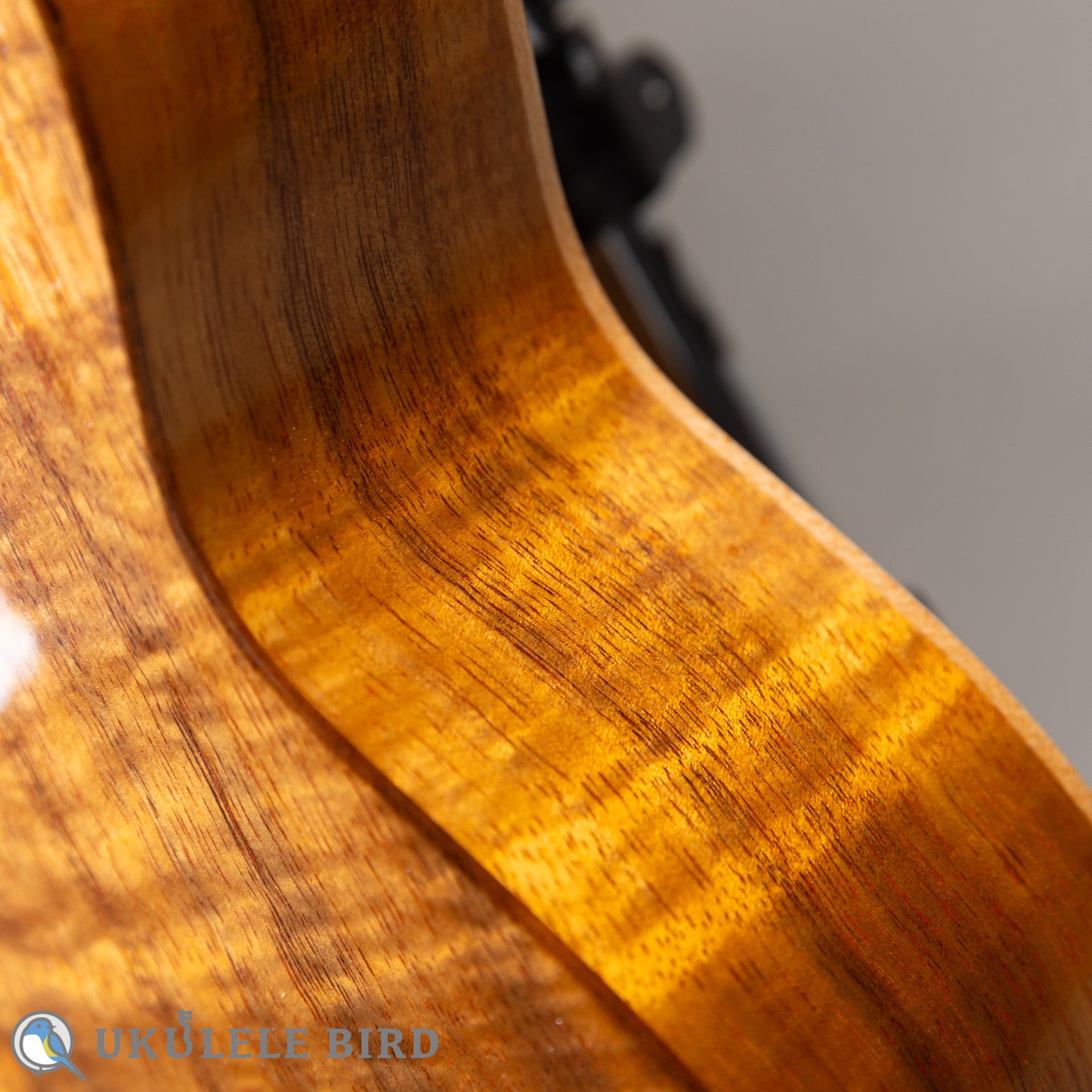 ASTURIAS Solo Ukulele Koa