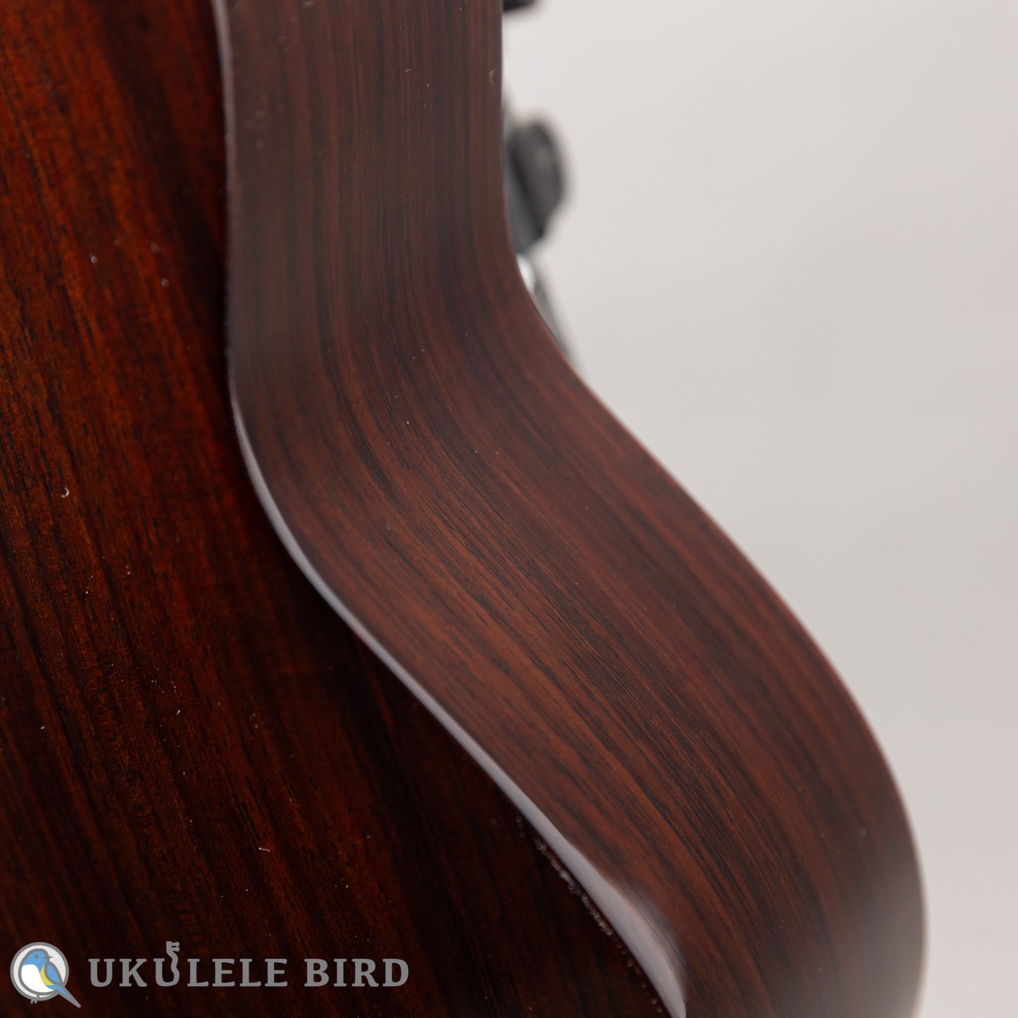 ASTURIAS Solo Ukulele Spuruce/Rosewood