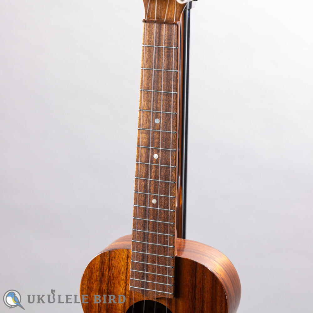 Kelii T-GV Tenor