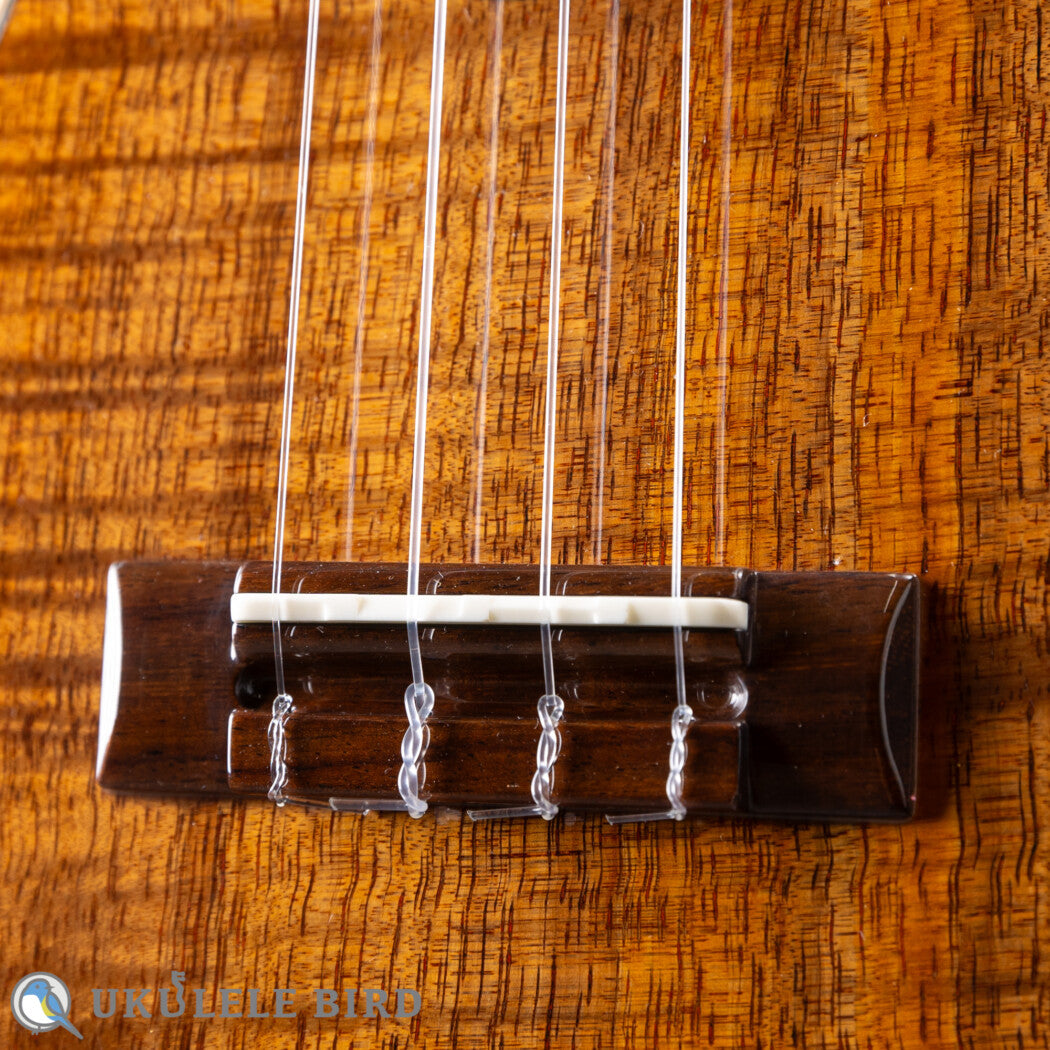 ASTURIAS Solo Ukulele Koa