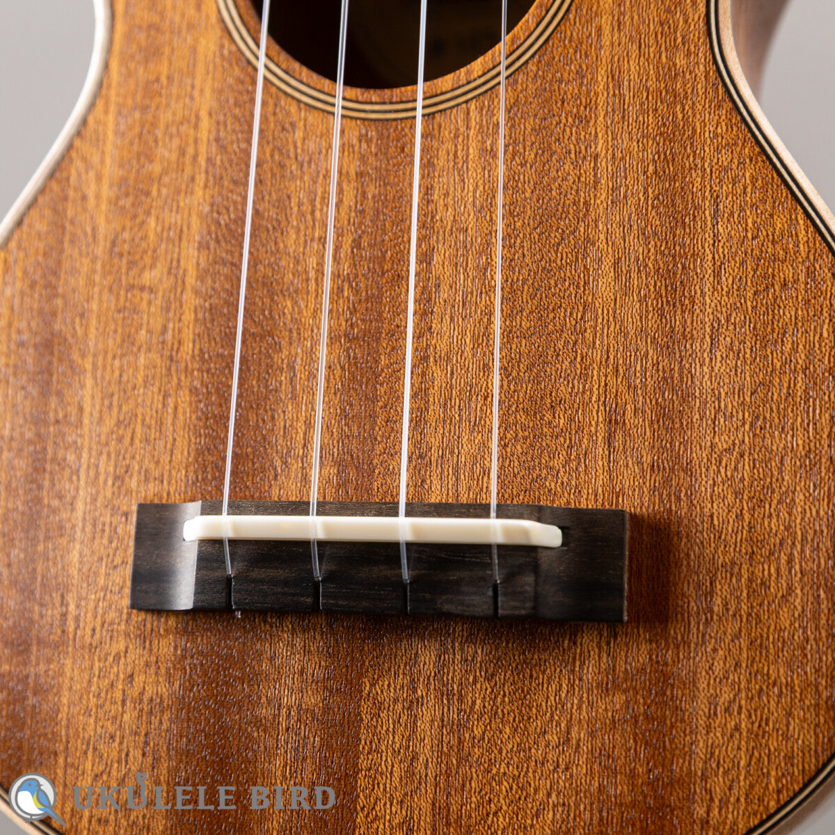 Moodyville Soprano Sapelle