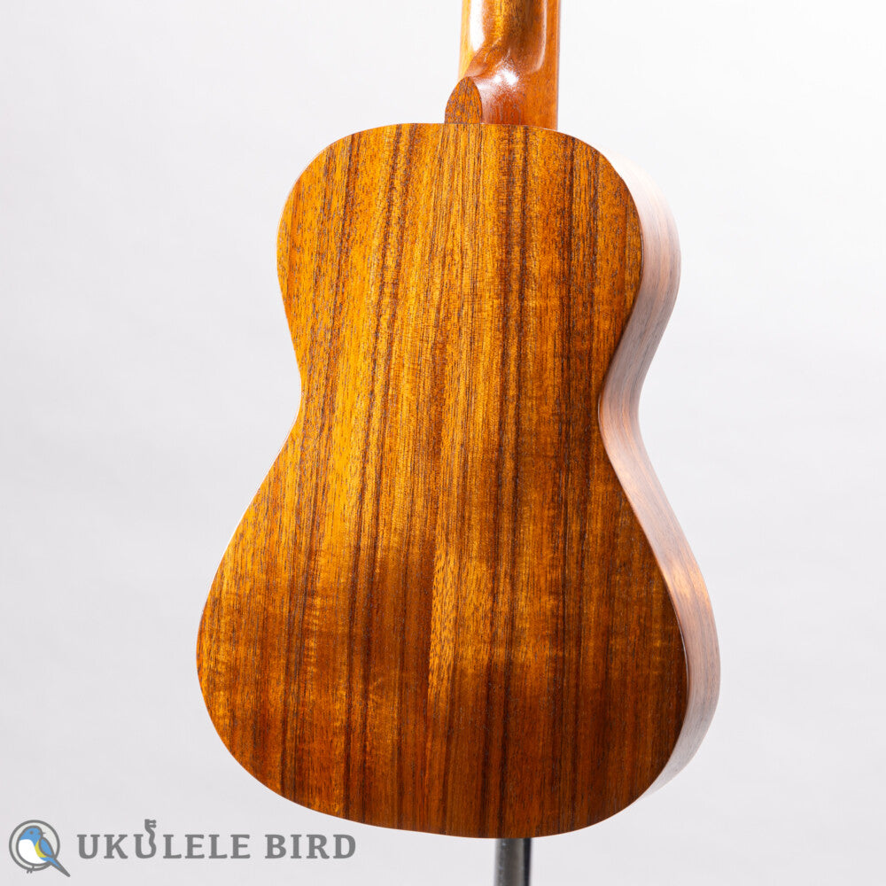 Kelii T-GV Tenor