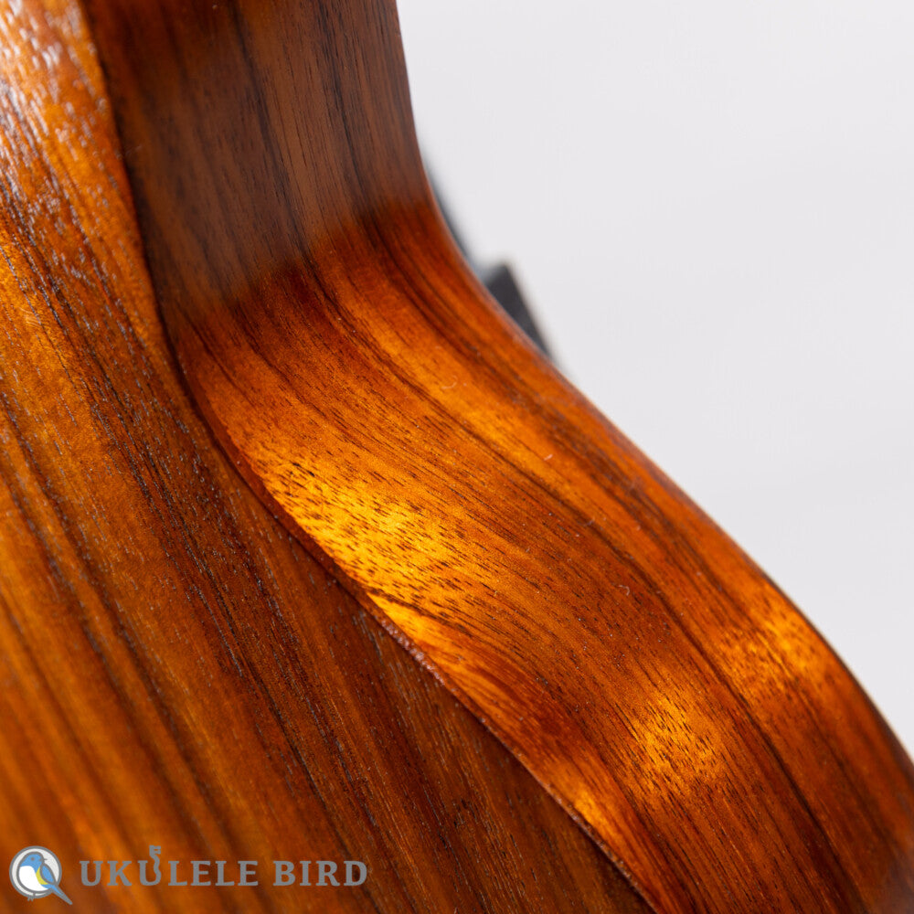 Kelii T-GV Tenor