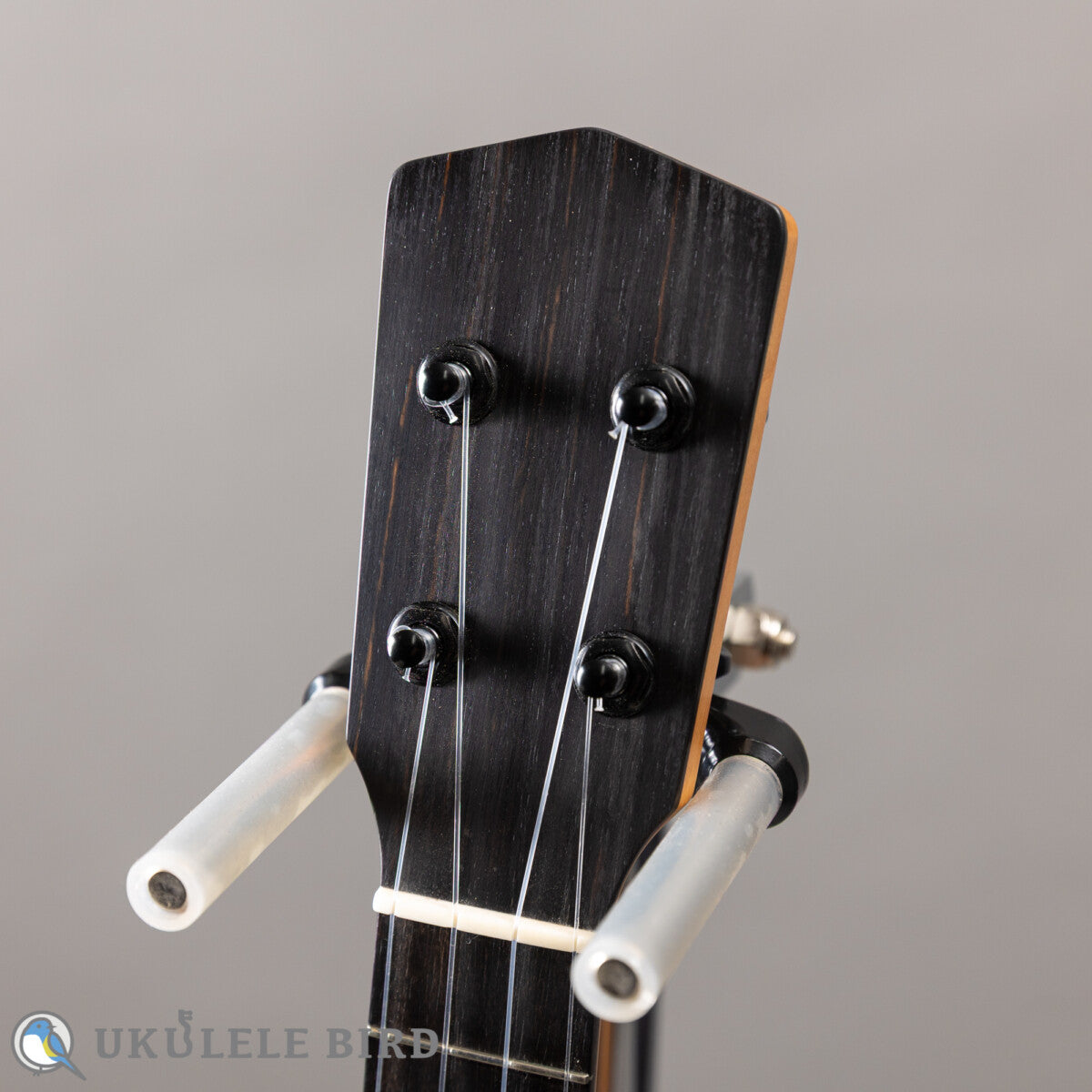 Moodyville Soprano Sapelle