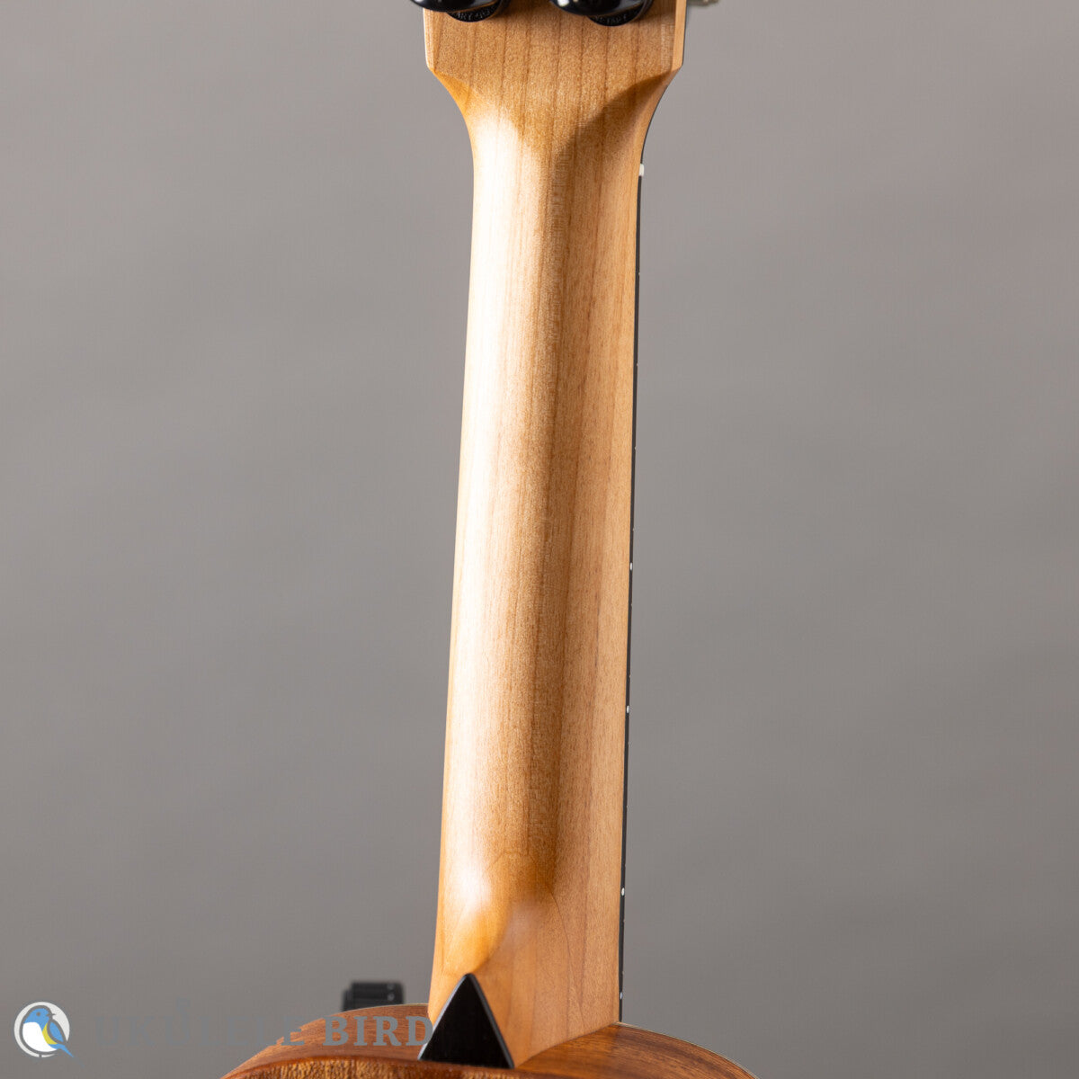Moodyville Soprano Sapelle