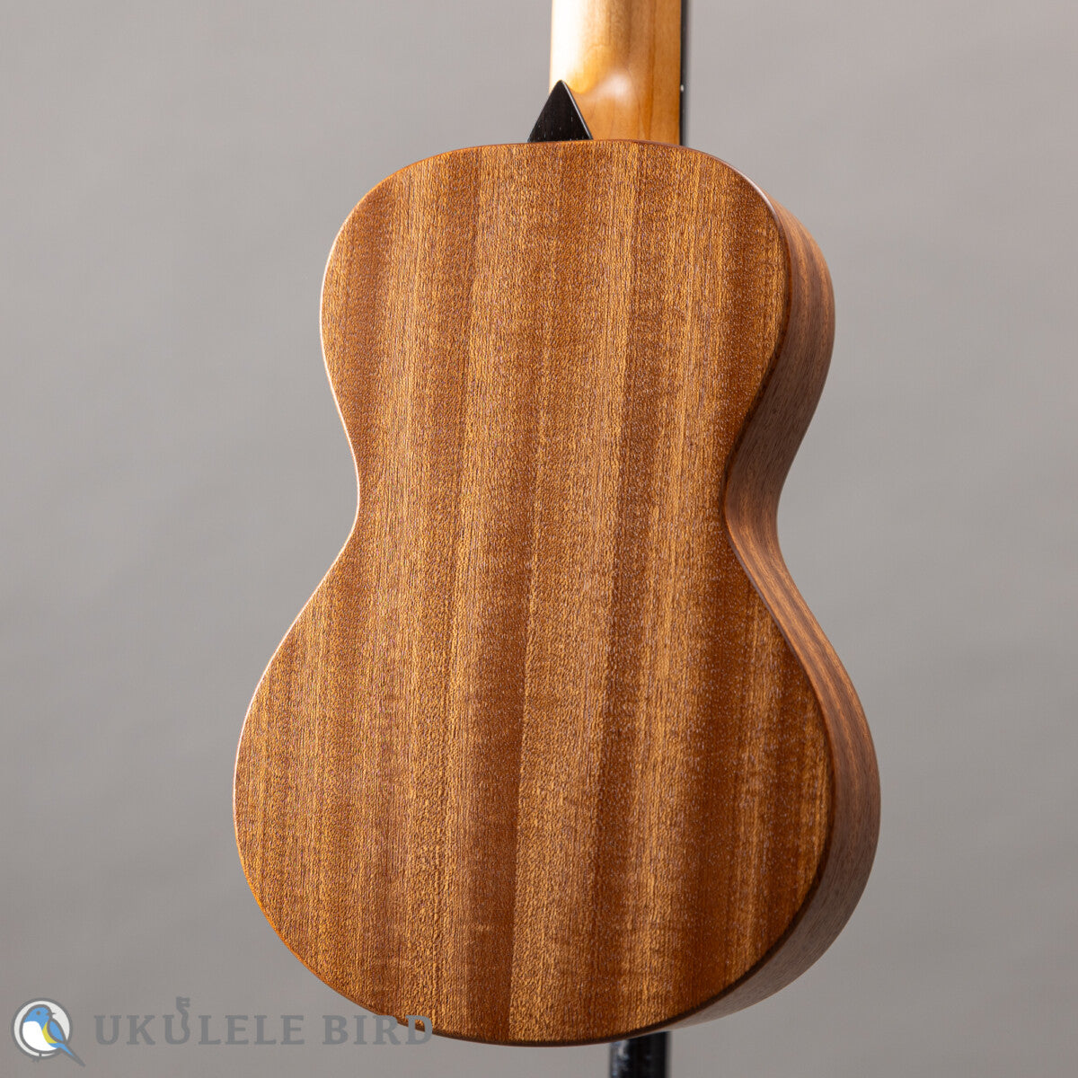 Moodyville Soprano Sapelle