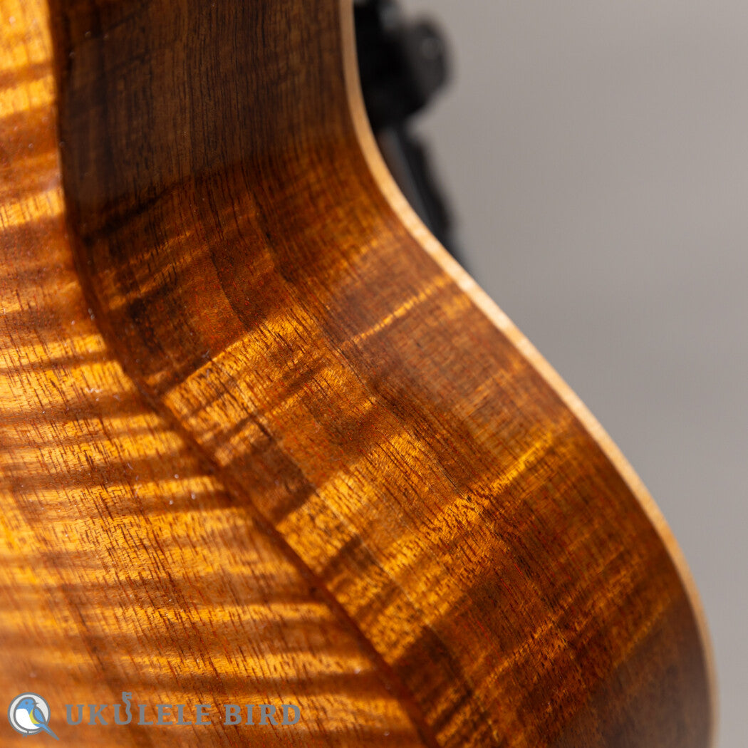 ASTURIAS Solo Ukulele Koa