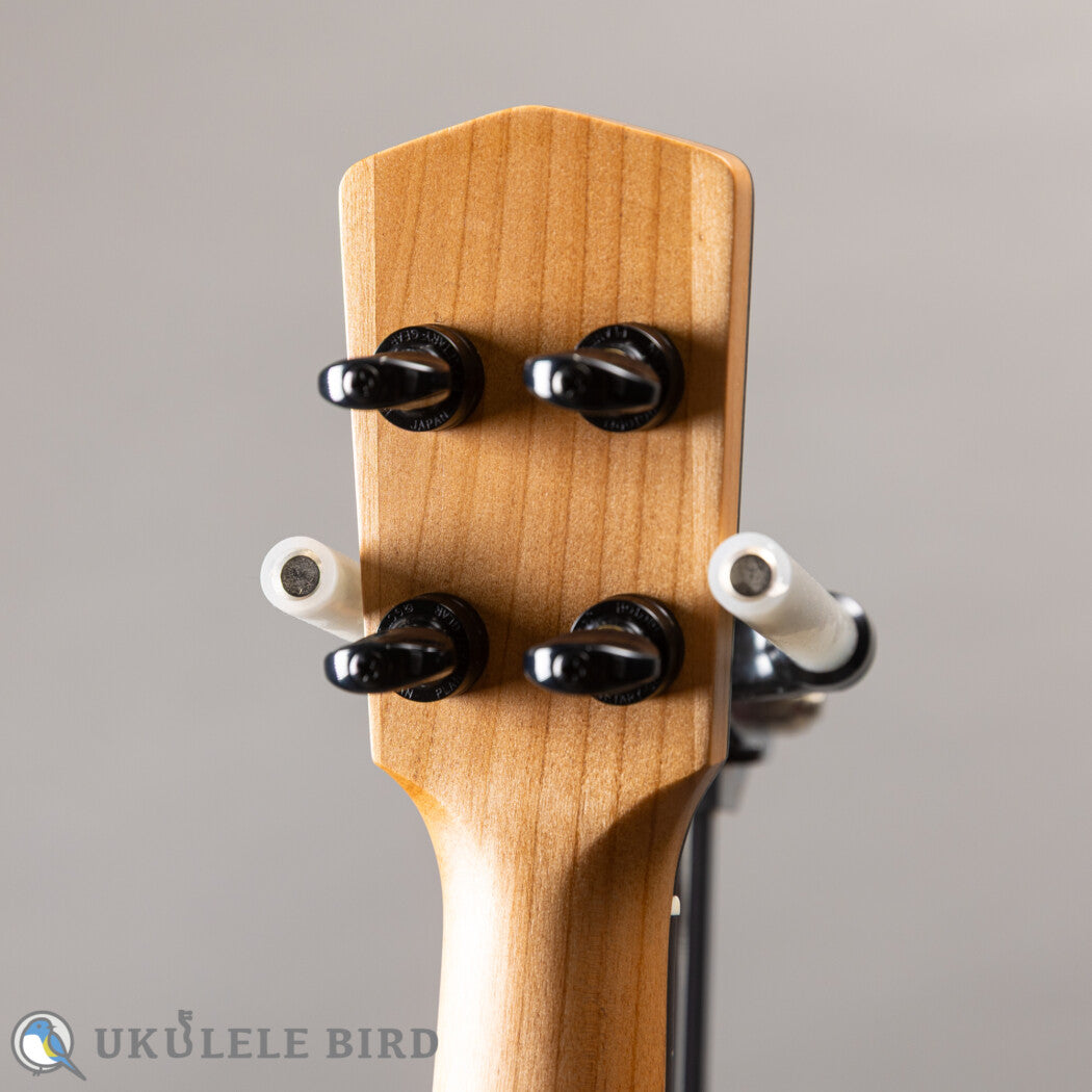 Moodyville Soprano Spruce/Walnut