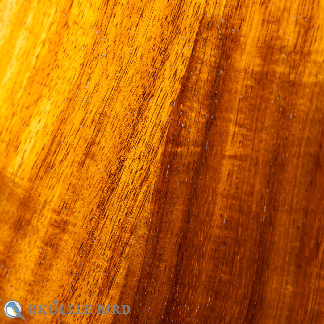 HAMAGEN C-014 Concert Koa