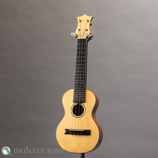 HAMAGEN C-016 Concert Spruce Mahogany