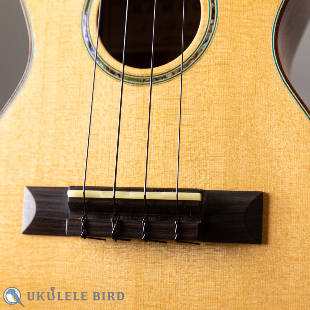 HAMAGEN C-016 Concert Spruce Mahogany