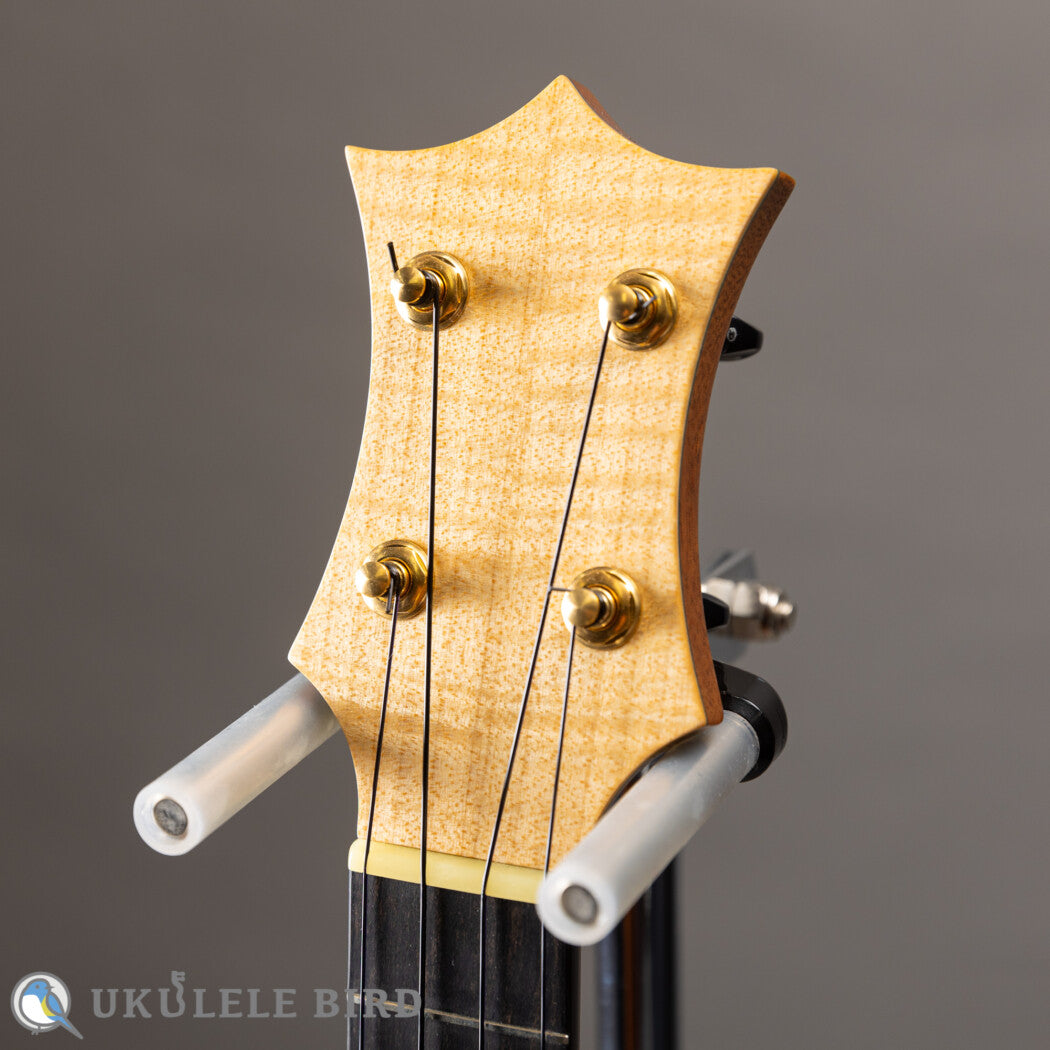 HAMAGEN C-016 Concert Spruce Mahogany