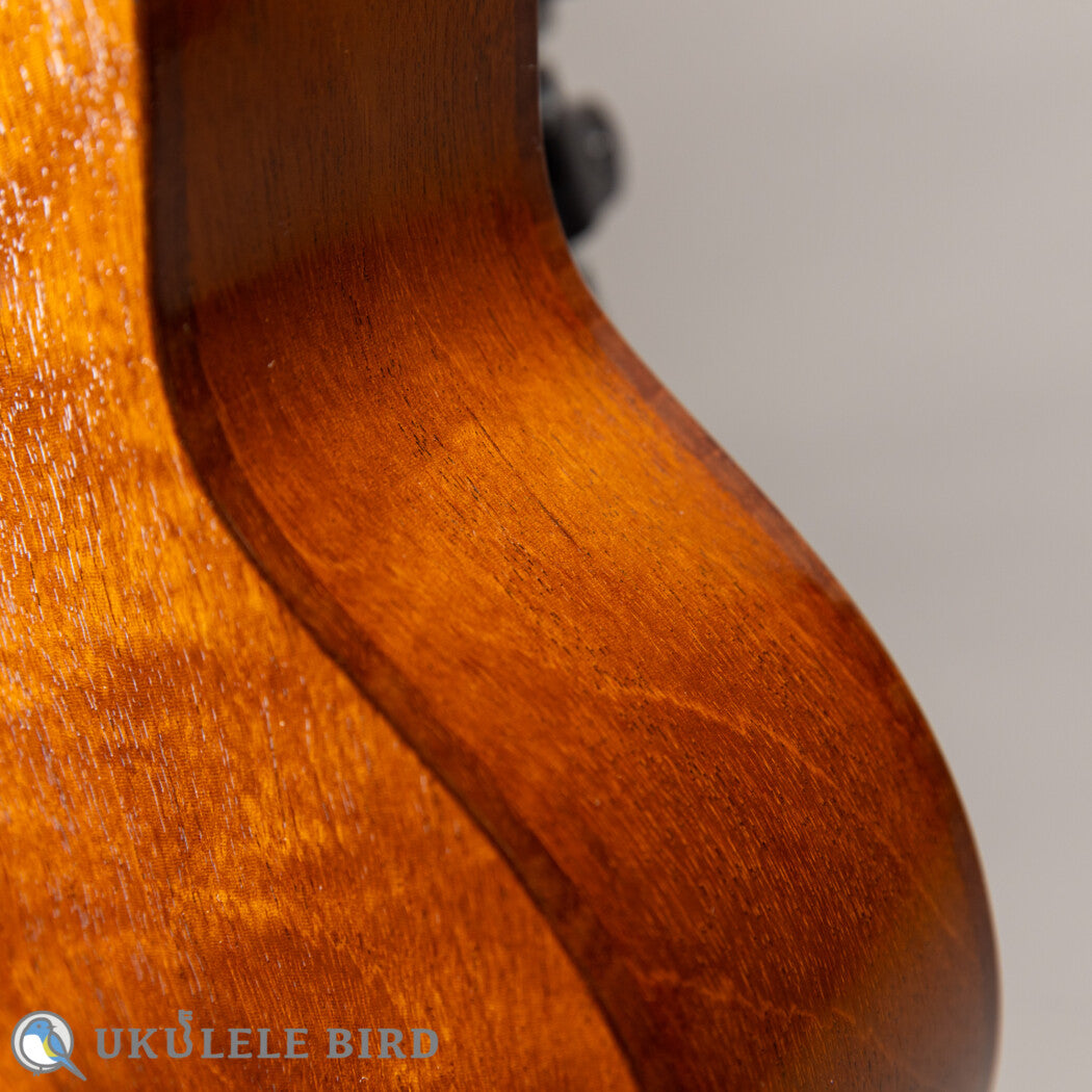 HAMAGEN C-016 Concert Spruce Mahogany