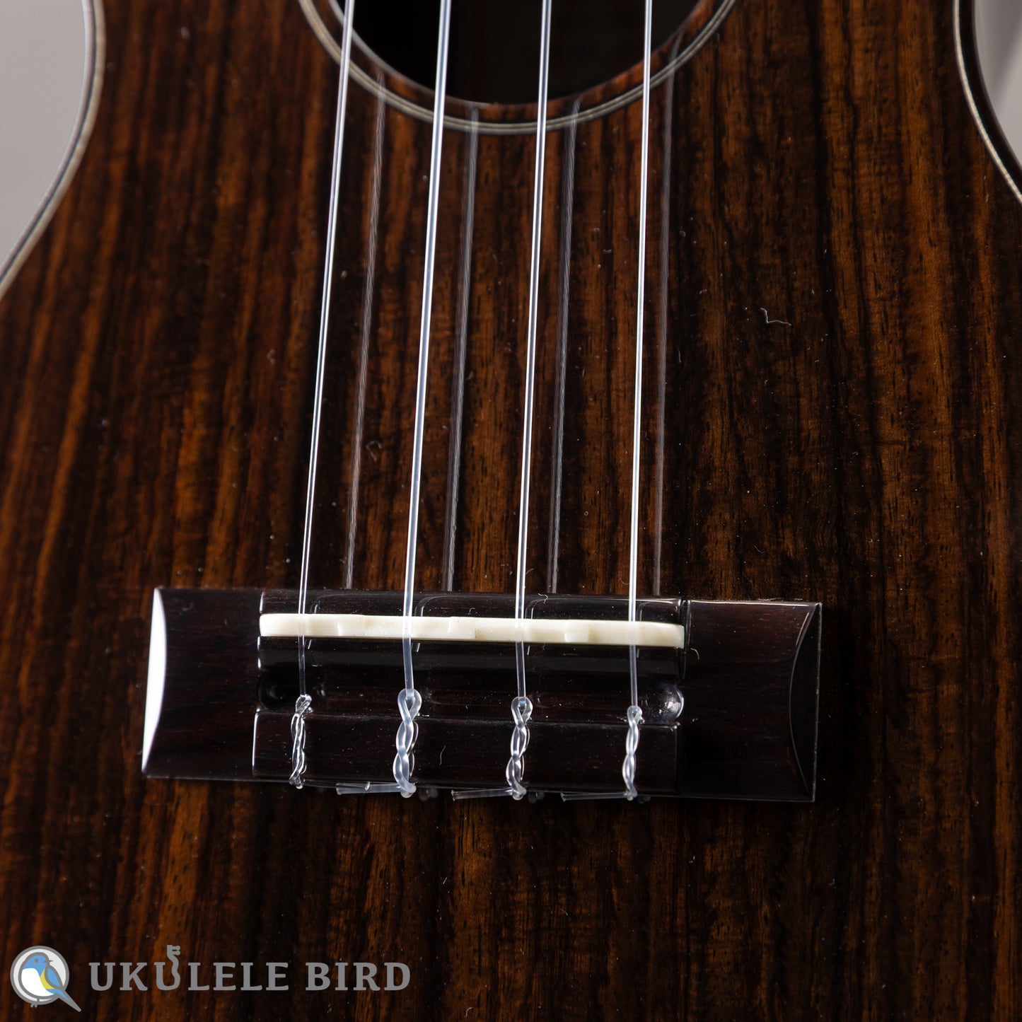 ASTURIAS Solo Ukulele Rosewood