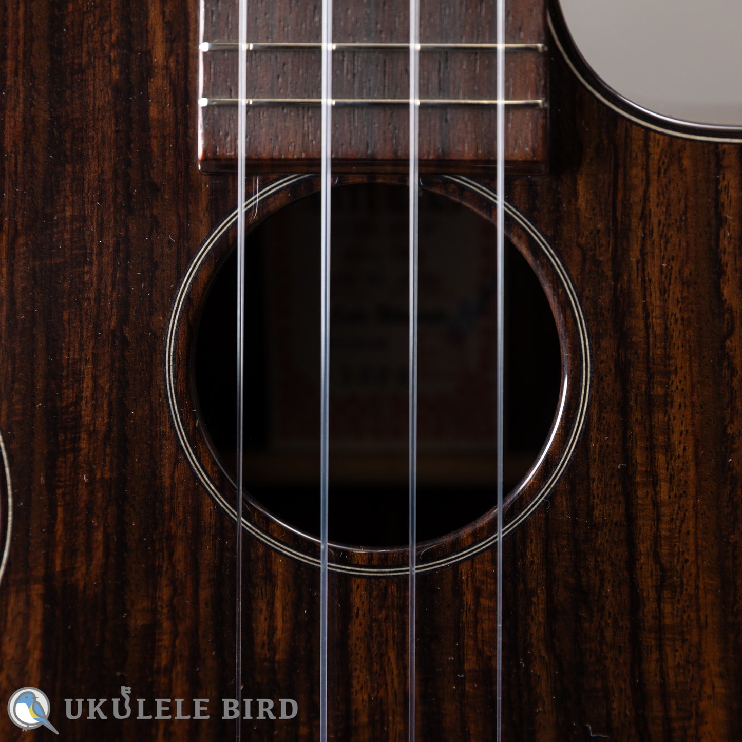 ASTURIAS Solo Ukulele Rosewood