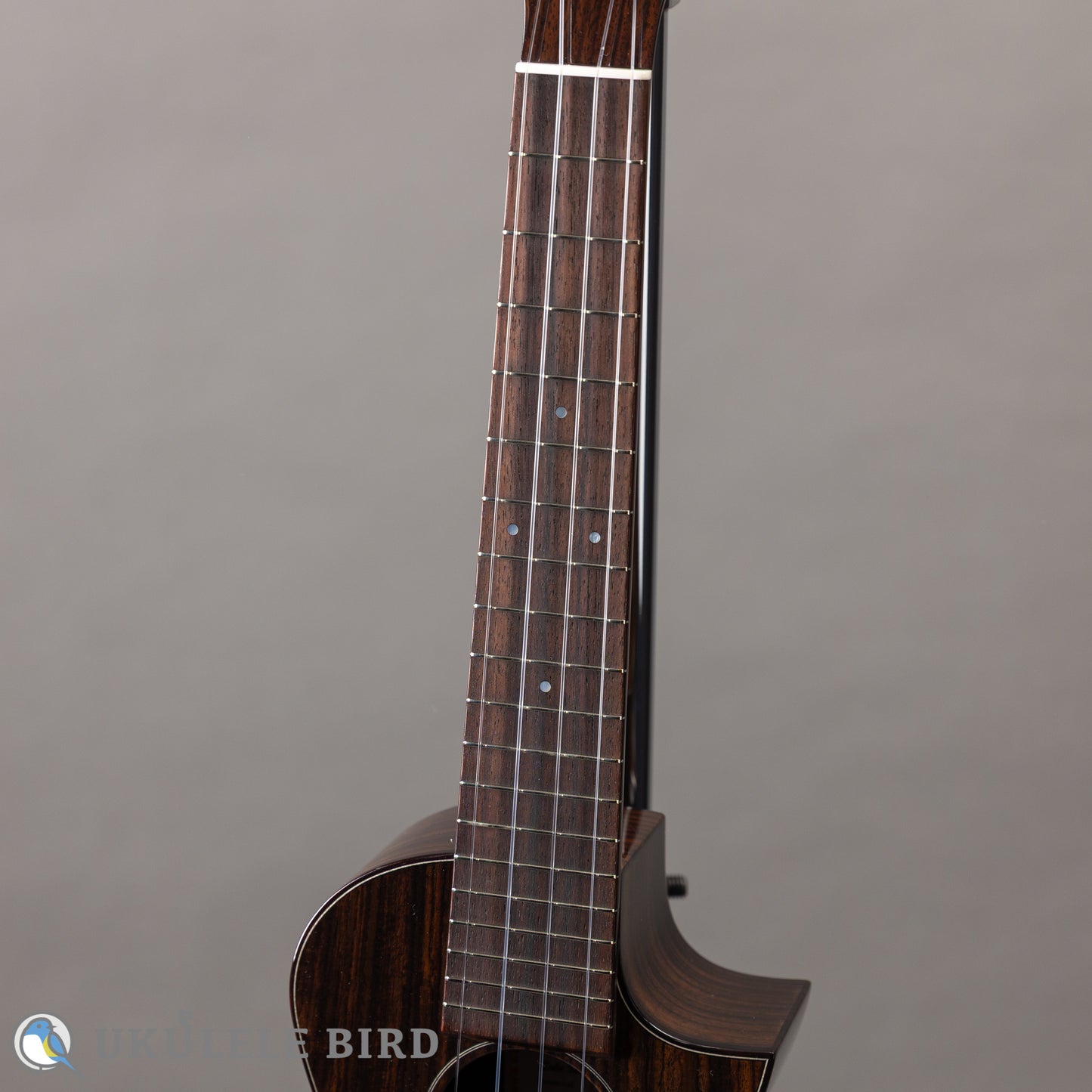 ASTURIAS Solo Ukulele Rosewood