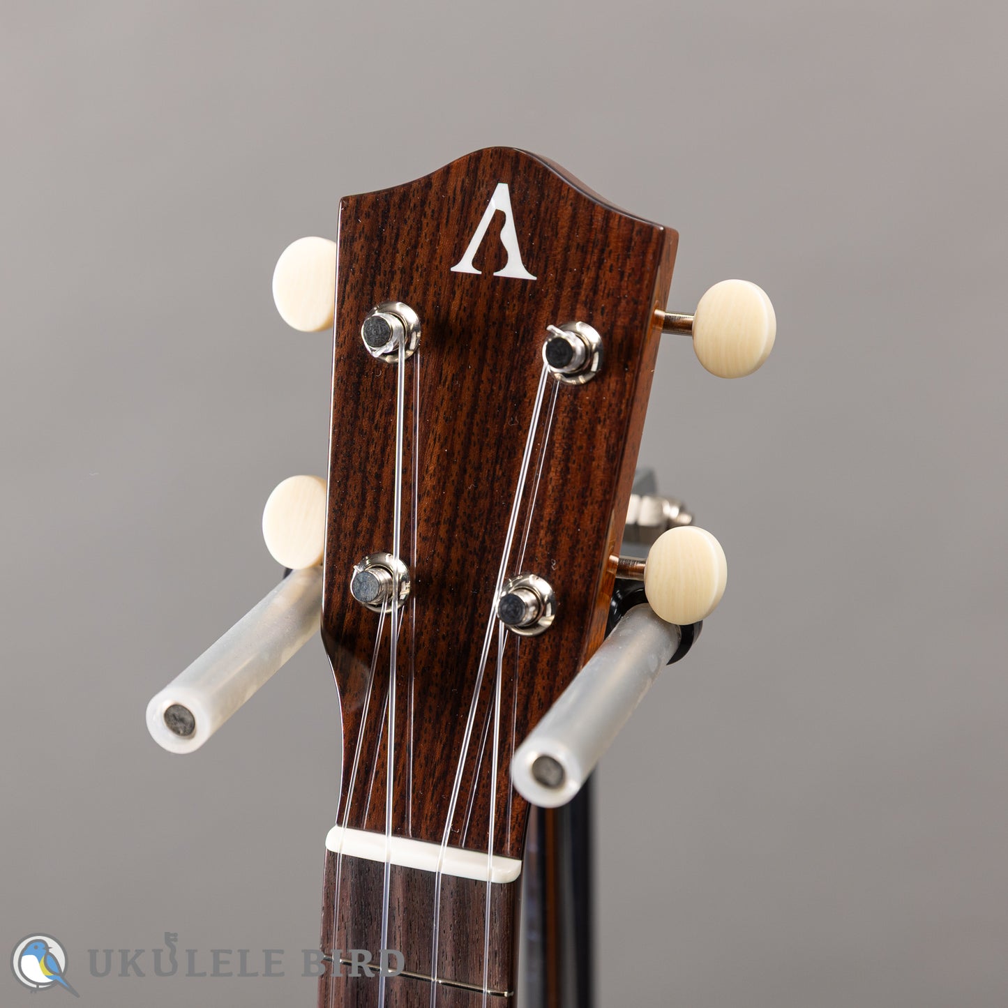 ASTURIAS Solo Ukulele Rosewood
