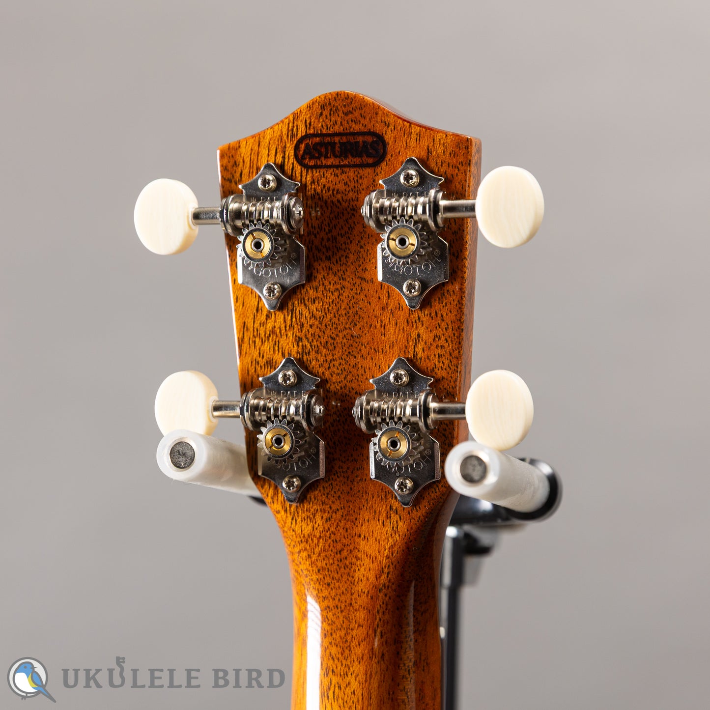 ASTURIAS Solo Ukulele Rosewood