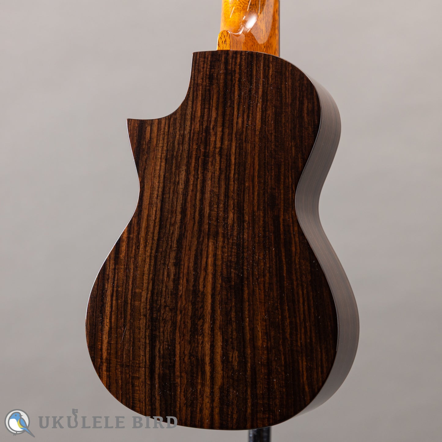 ASTURIAS Solo Ukulele Rosewood