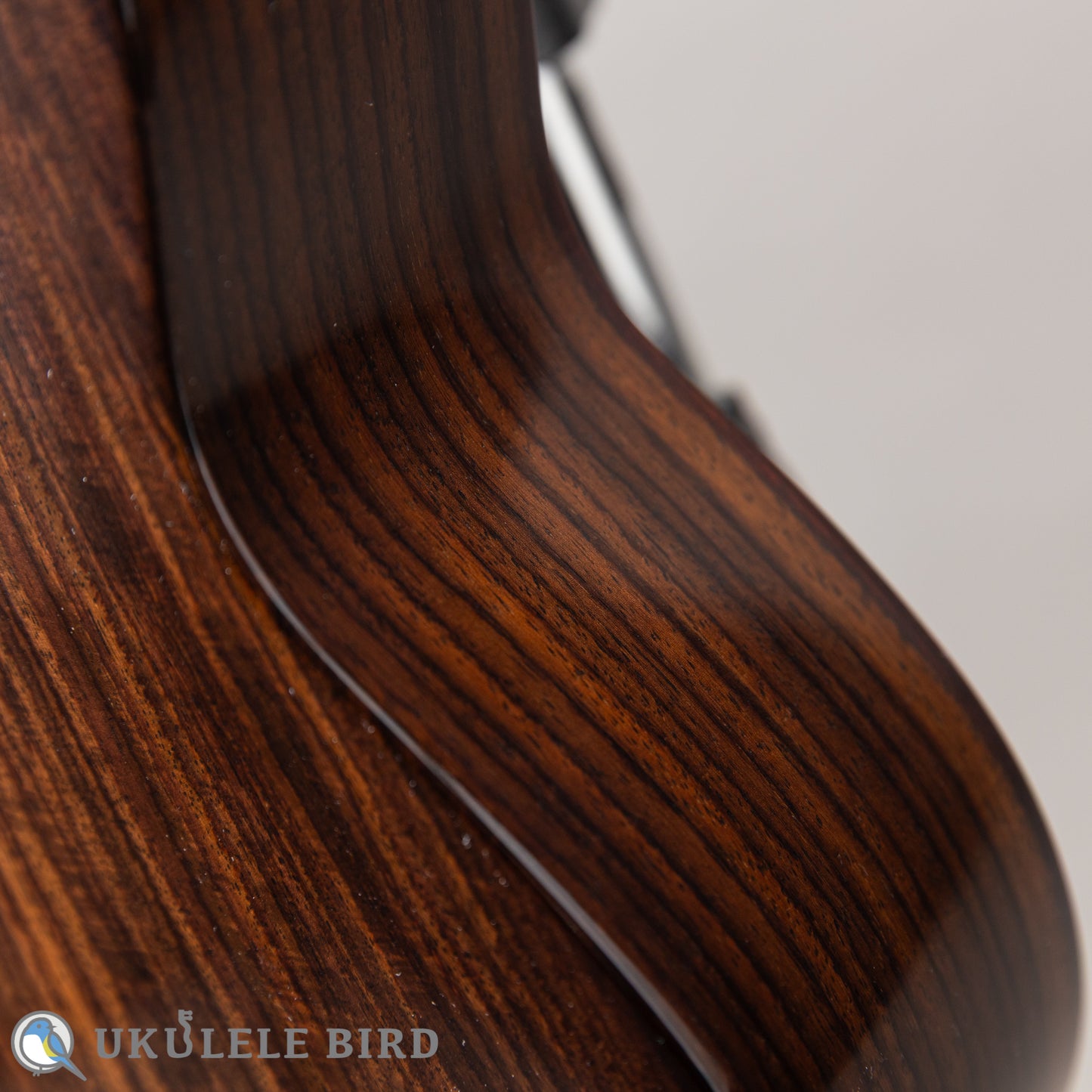 ASTURIAS Solo Ukulele Rosewood