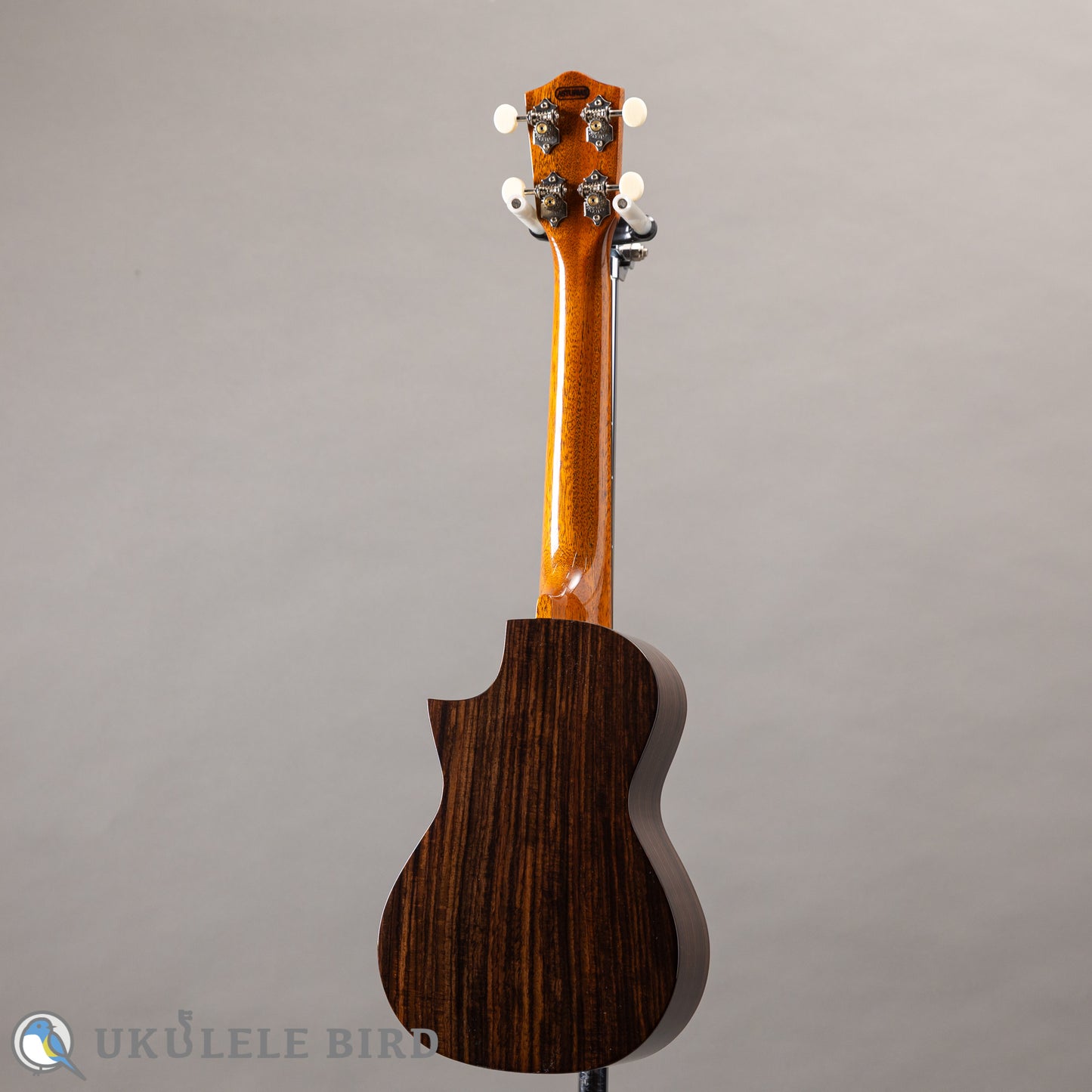 ASTURIAS Solo Ukulele Rosewood
