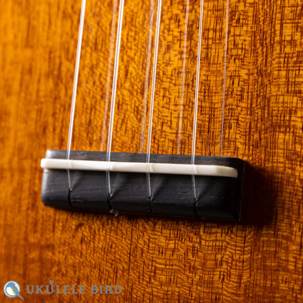 Sakata Guitars US-1 17F Custom