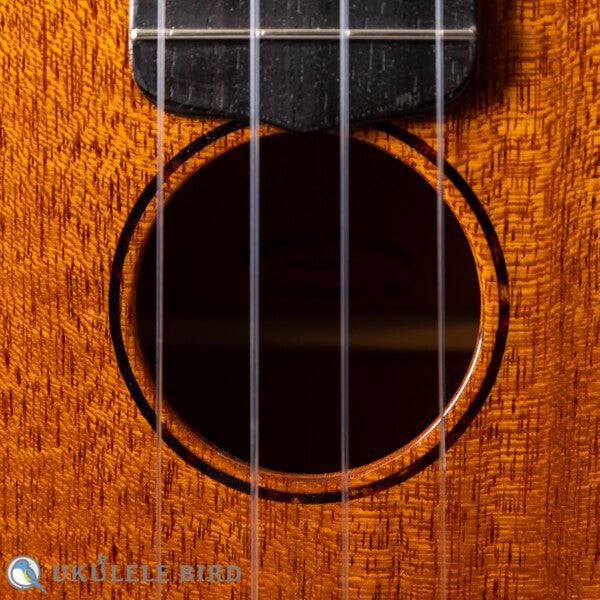 Sakata Guitars US-1 17F Custom