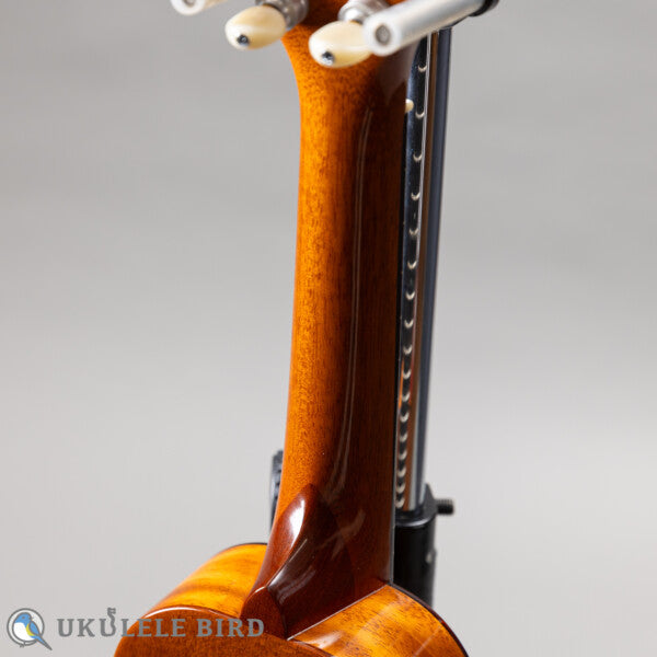 Sakata Guitars US-1 17F Custom