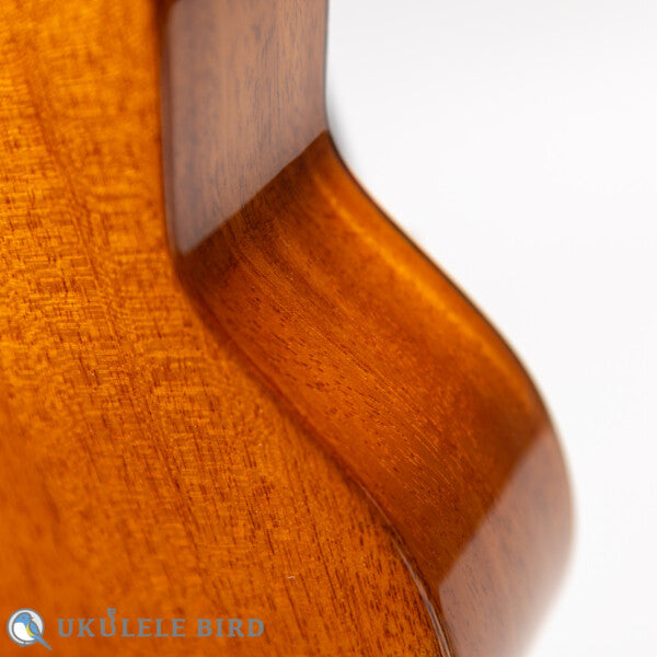 Sakata Guitars US-1 17F Custom