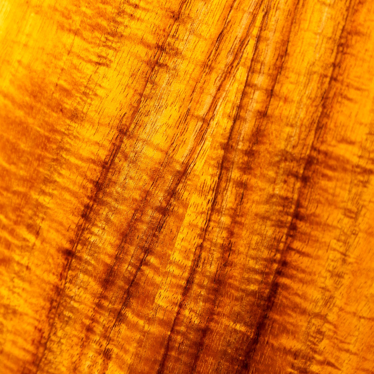 Truth TKE-Custom Blue