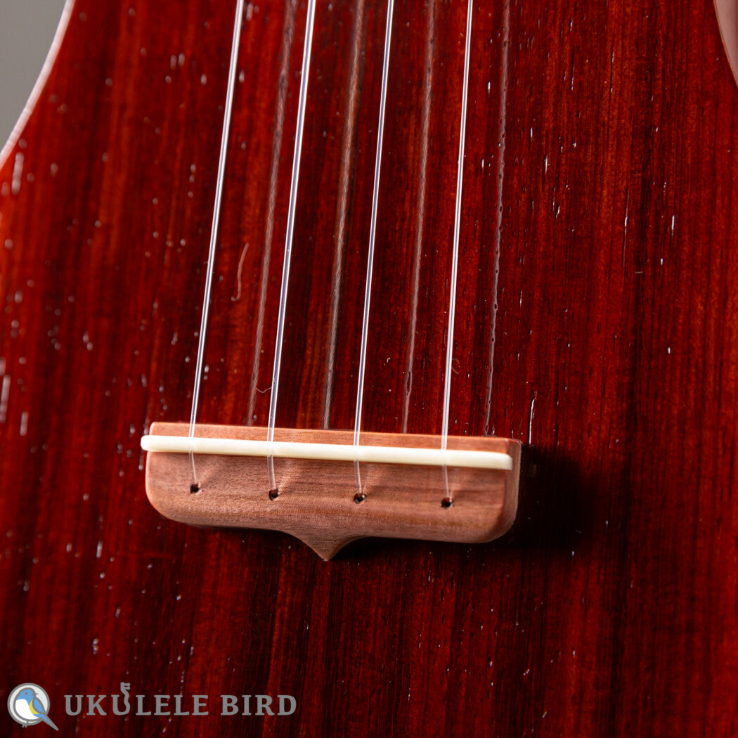 Sallycinnamon Ukulele Concert Padauk