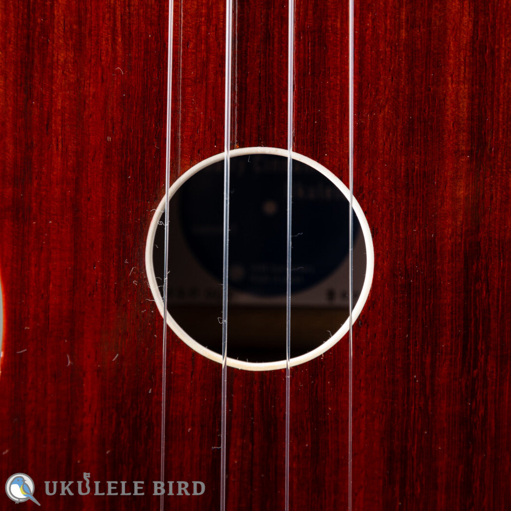 Sallycinnamon Ukulele Concert Padauk