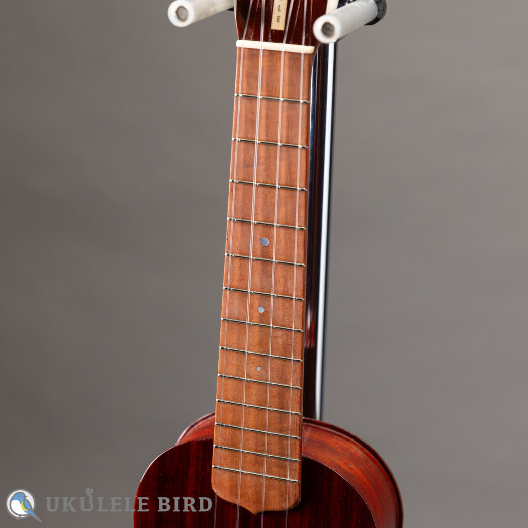 Sallycinnamon Ukulele Concert Padauk