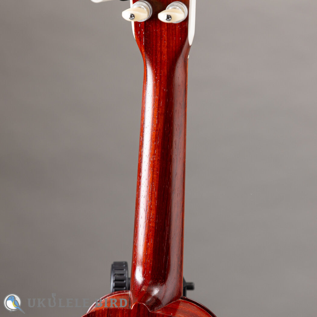 Sallycinnamon Ukulele Concert Padauk