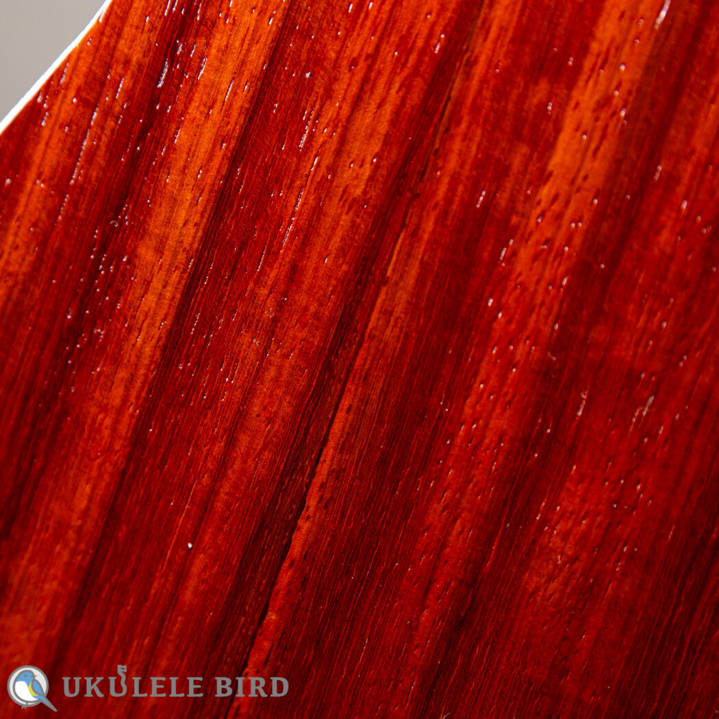 Sallycinnamon Ukulele Concert Padauk