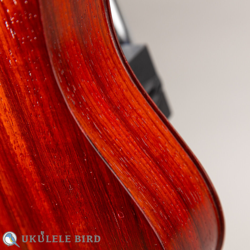 Sallycinnamon Ukulele Concert Padauk