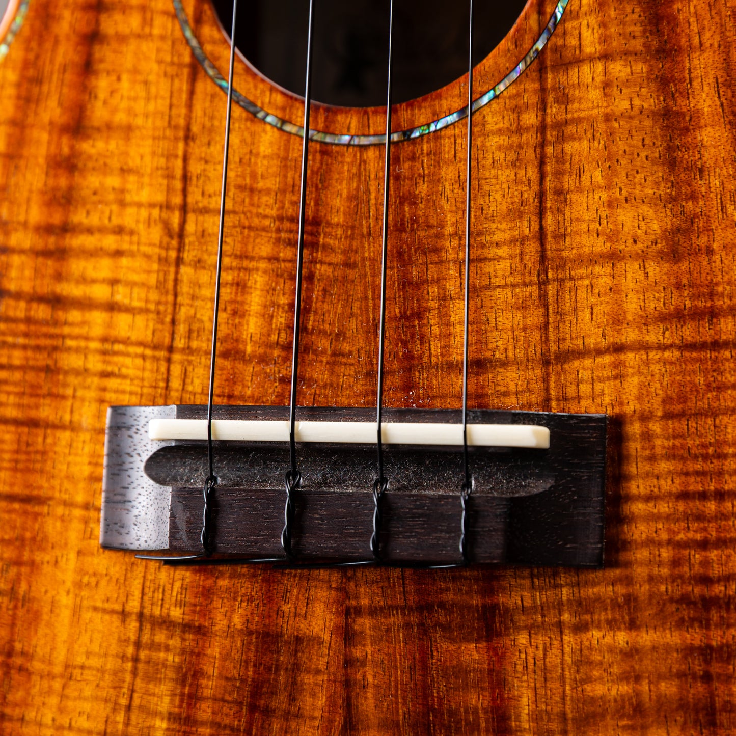 Seilen SLC-285 Used 2023年製