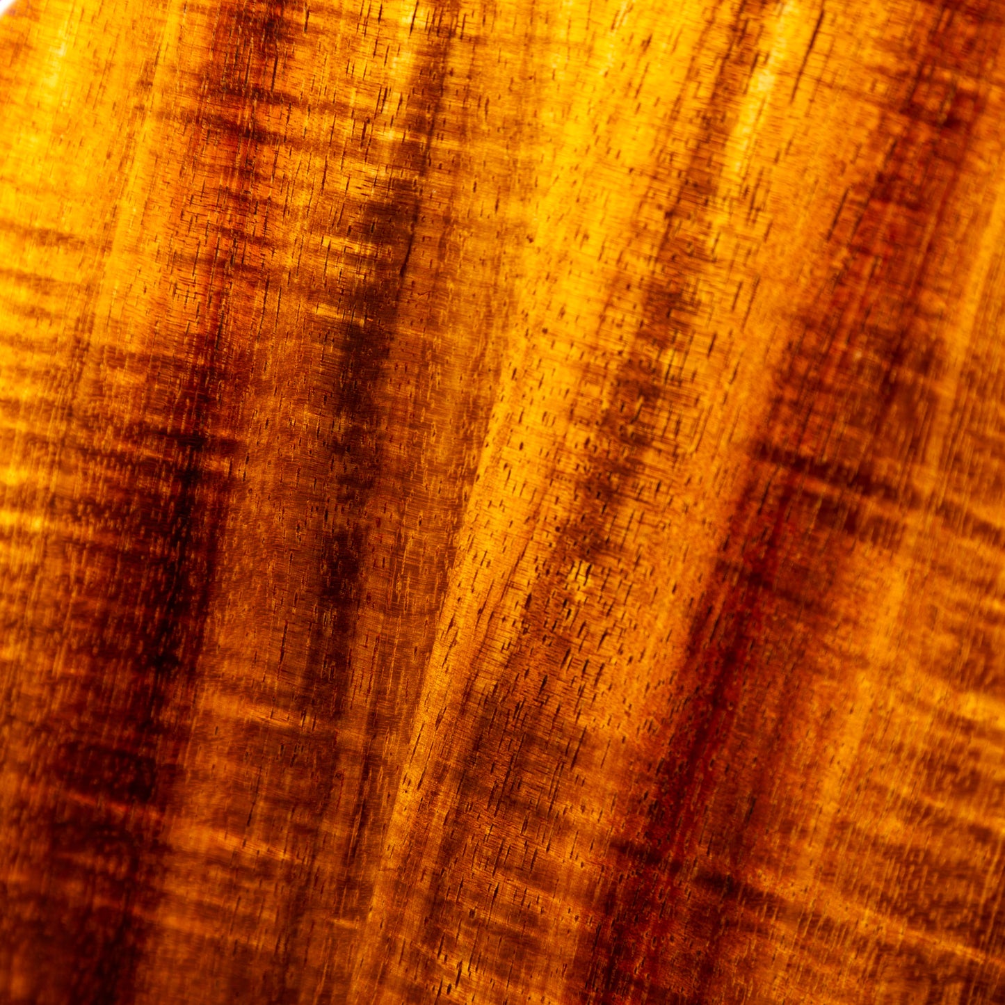 Seilen SLC-285 Used 2023年製