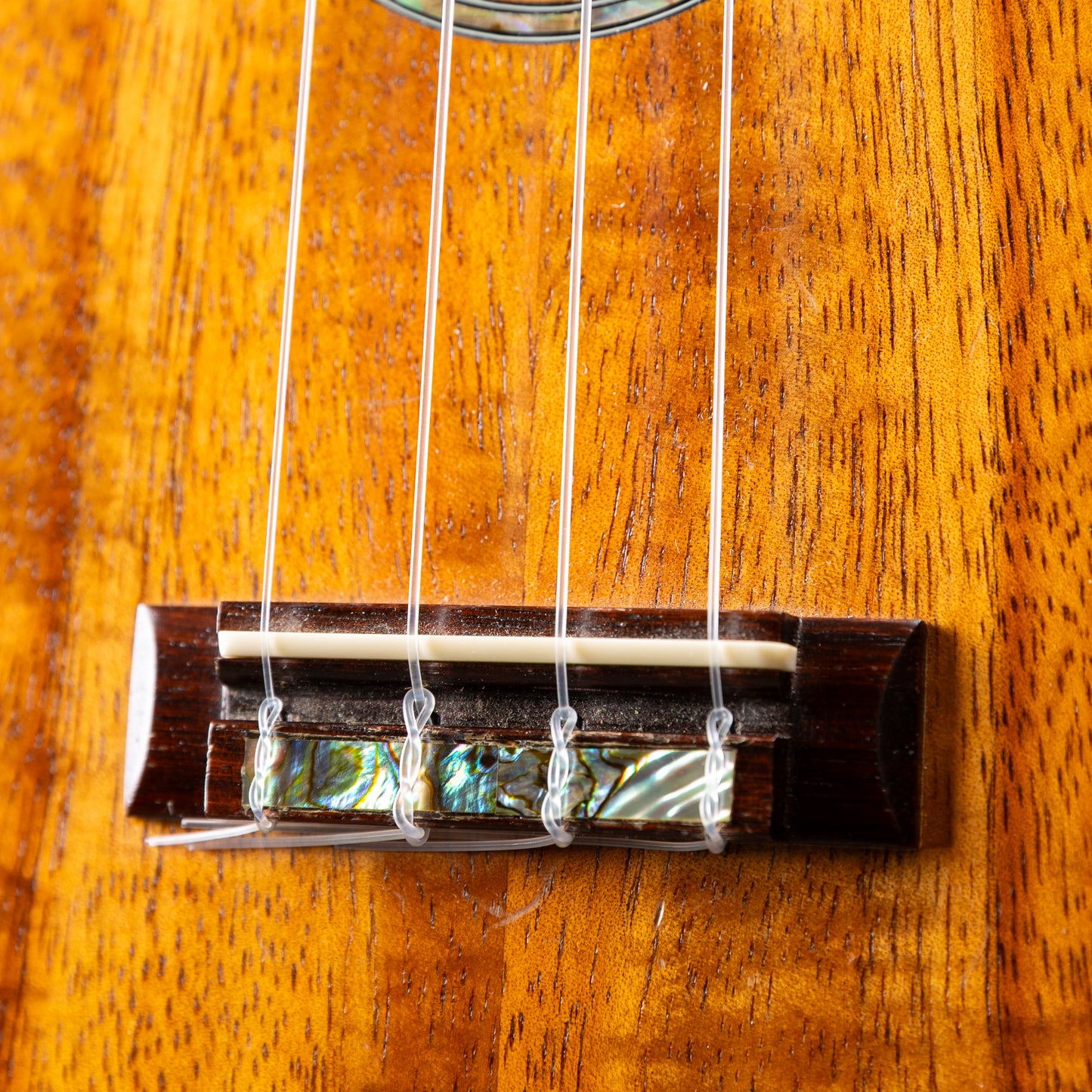 Shelly SS-Ukulele  2000s