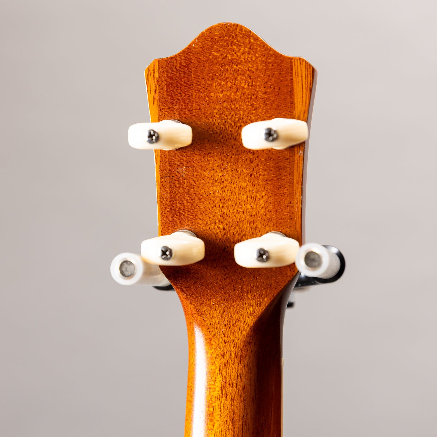 Shelly SS-Ukulele  2000s