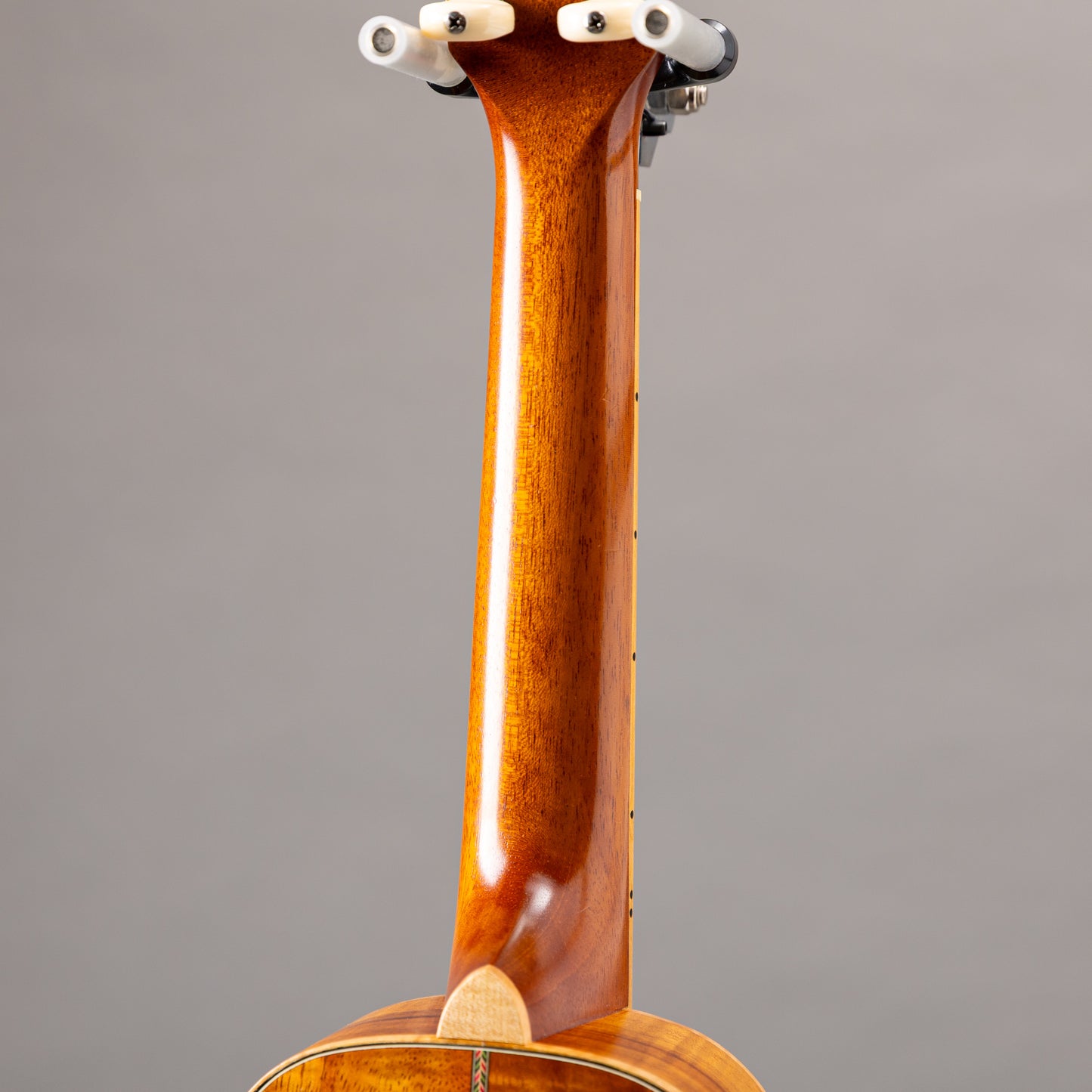 Shelly SS-Ukulele  2000s