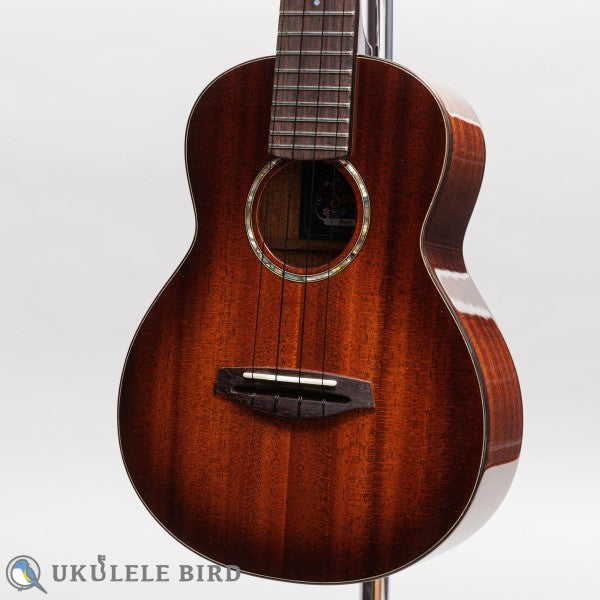 Singer RC1M