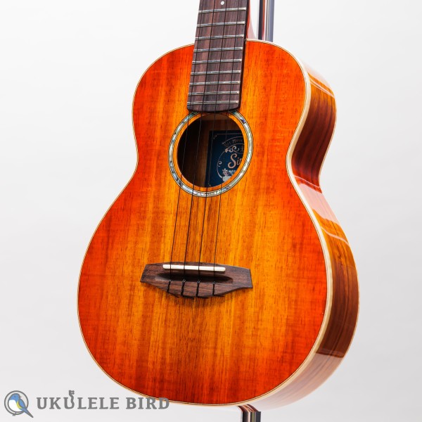 Singer RT1K