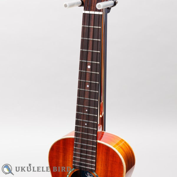 Singer RT1K
