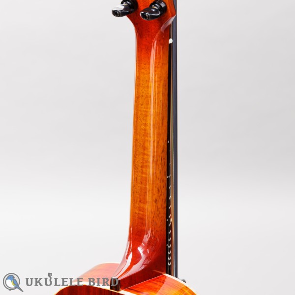 Singer RT1K
