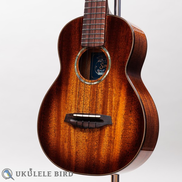 Singer RT1M