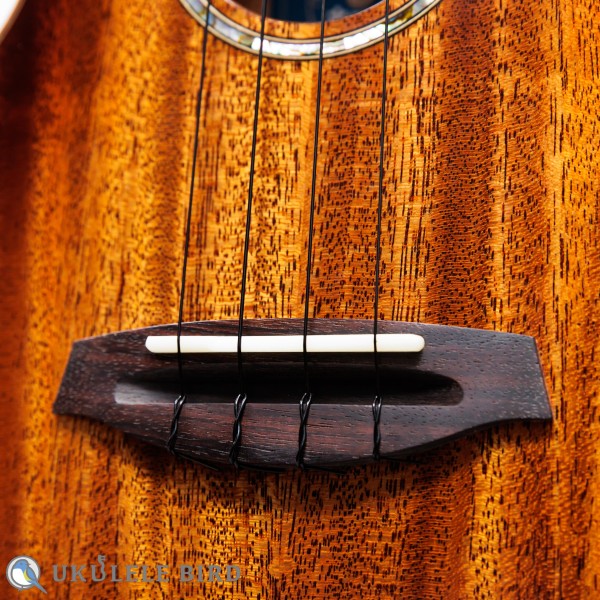 Singer RT1M