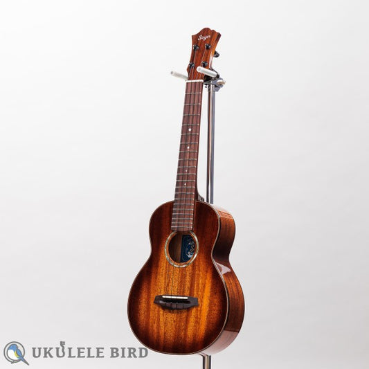 Singer RT1M