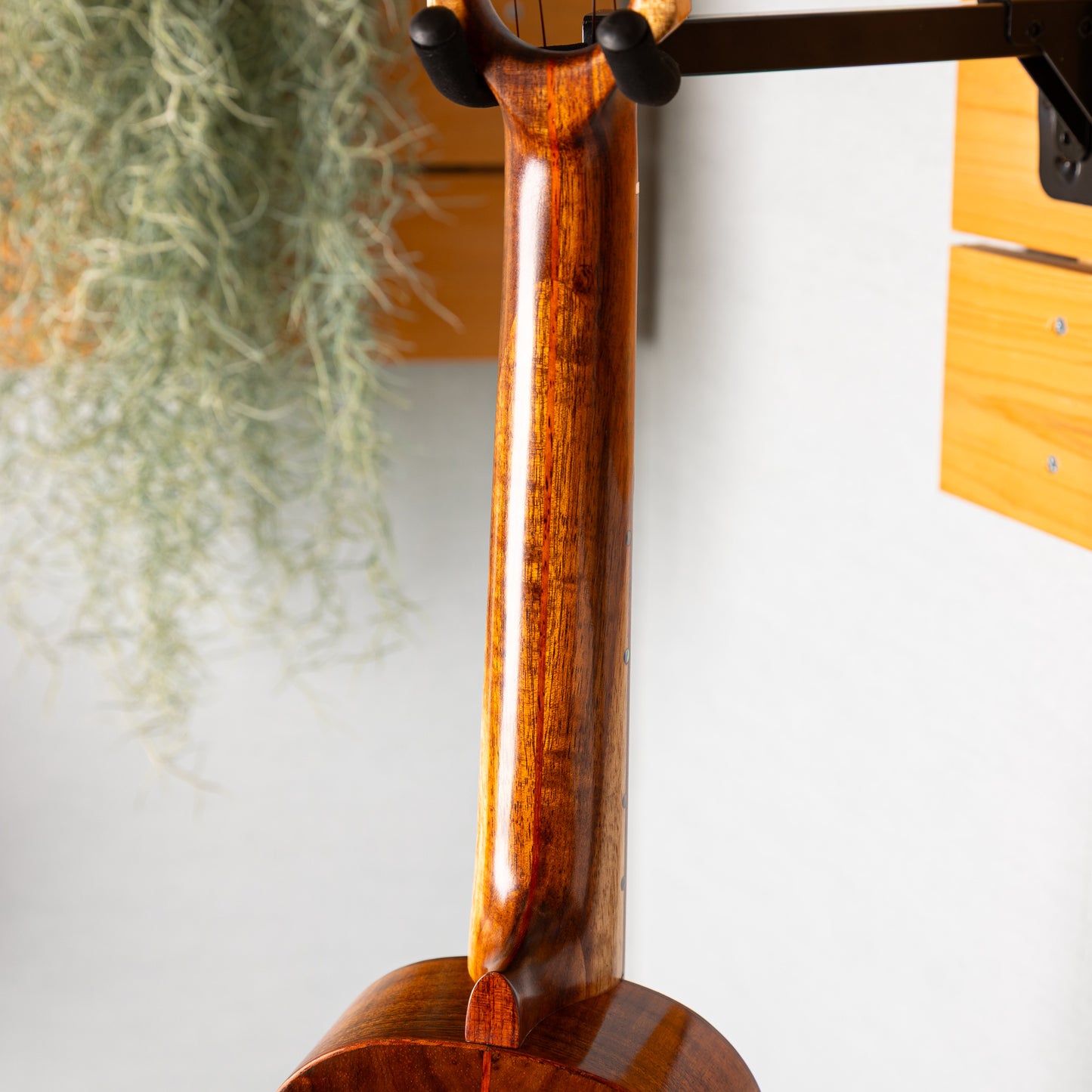TAKULELE Soprano Longneck Hawaiian Koa