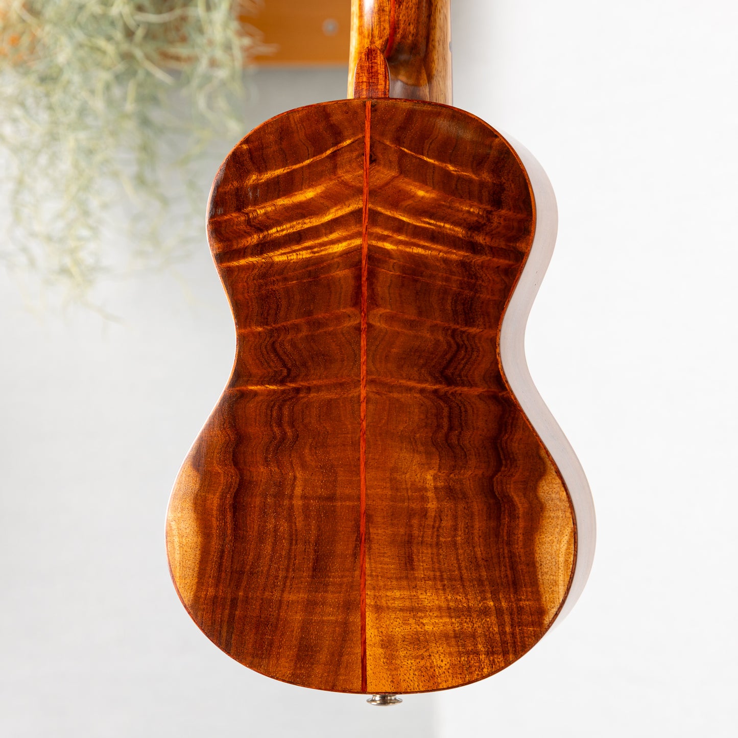 TAKULELE Soprano Longneck Hawaiian Koa